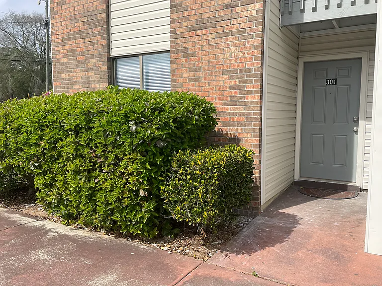 719 Green St #301 — Photo 16