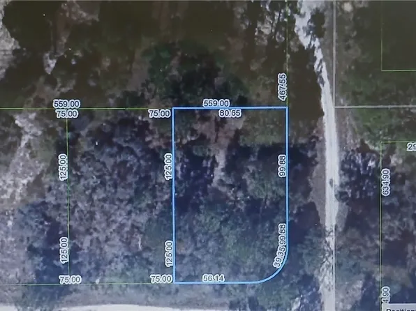 344 Rolling Hills Dr, Lake Placid, FL 33852