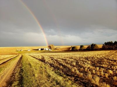 539 Cottonwood Coulee Rd, Stockett, MT, 59480