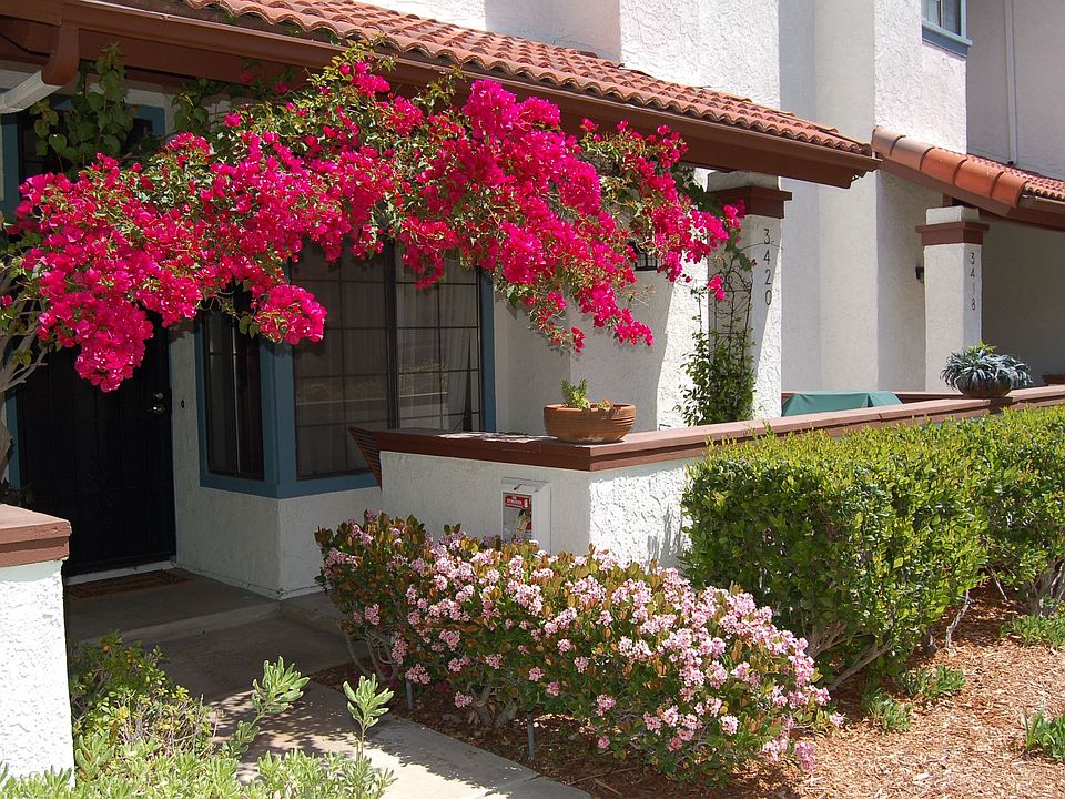 1st image of 3420 Mission Mesa Way