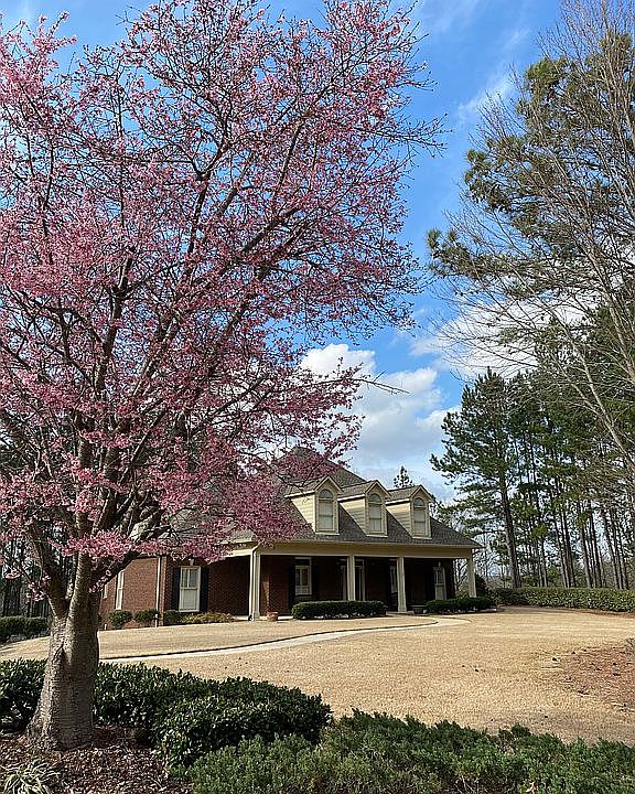 2nd image of 356 Greystone Glen Cir