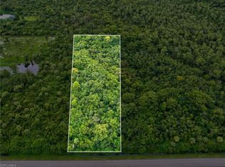 SHADY HOLLOW BLVD E, NAPLES, FL 34120