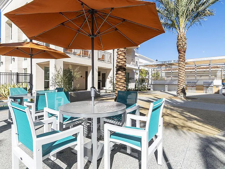 Haven at La Mesa — Photo 4