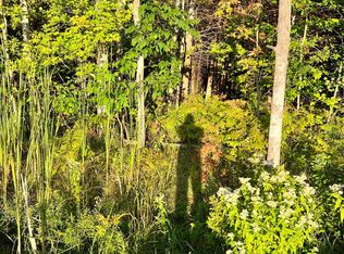 PARCEL 83 Swamp Rd, Frankfort, MI 49635