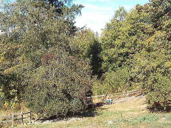 3rd image of 10111 237th Street Ct E