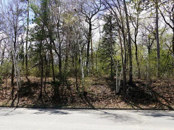 Tbd Hawkins Dr, Brainerd, MN 56401