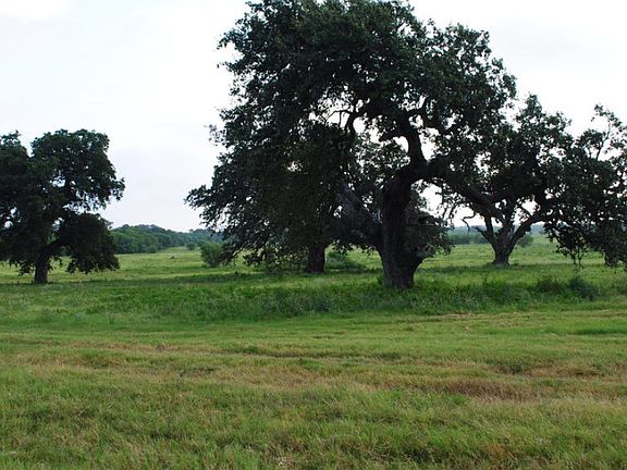 2nd image of 157 County Road 386
