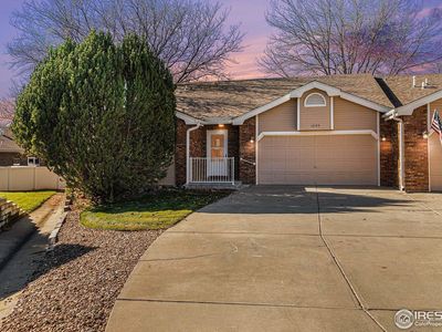 1245 Honeysuckle Ct, Windsor, CO, 80550