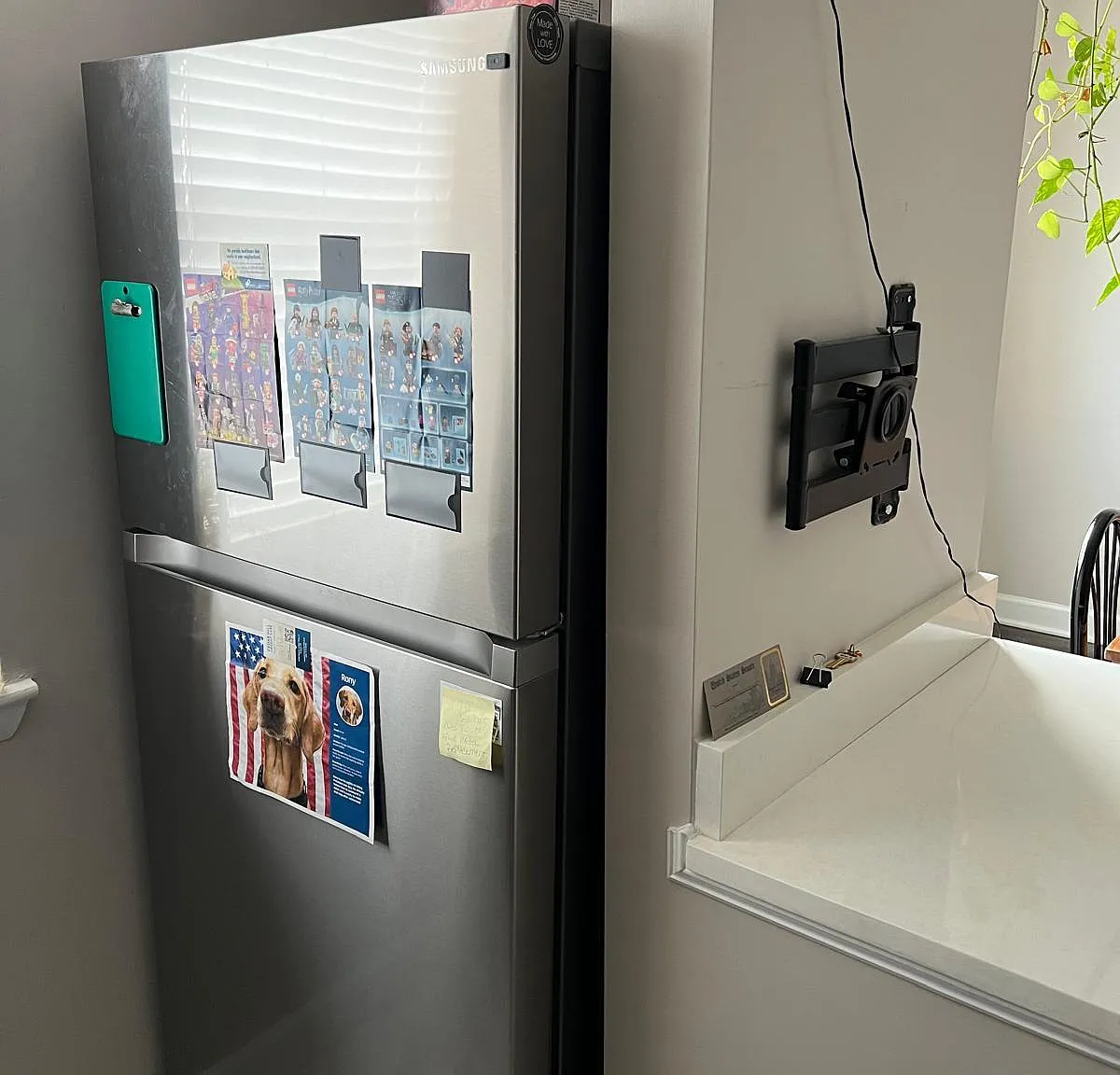 1 bed, 800 sqft, $1,250 — Photo 4