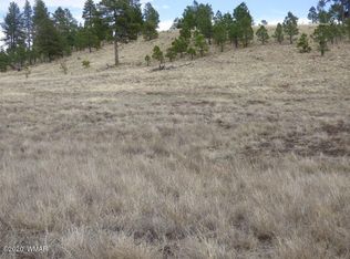 LOT 17 The Ranch At, Alpine, AZ 85920