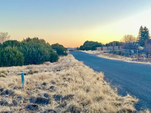 44 County Road 5053, Concho, AZ 85924
