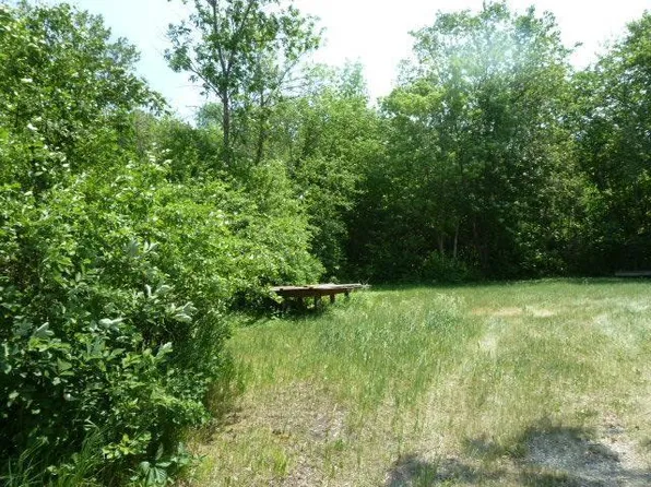 E Division St, Elbow Lake, MN 56531