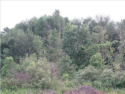 4th image of 5961 Sunfish Lake Ave NE