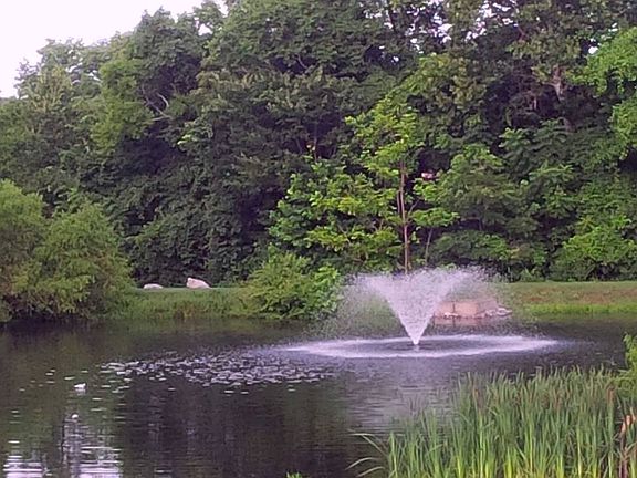 View from the Covered Deck