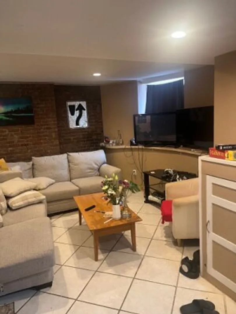 Renovated 4 Bed/2 Bath Right In Allston! Steps From The T and Packard's Corner — Photo 3