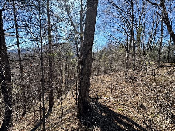 4th image of 4 +/- Acres Hwy 194