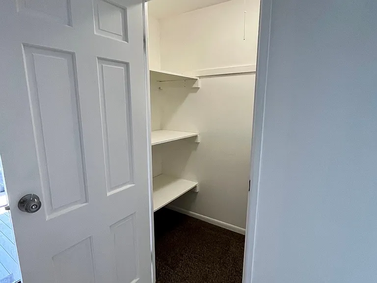 Large walk-in living room closet