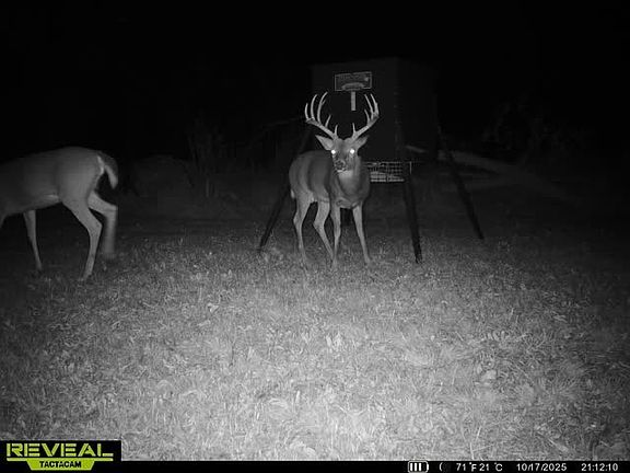 3rd image of 9404 E 460th Rd