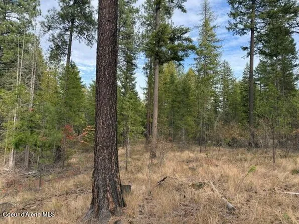Nna Jachetta Rd, Priest River, ID 83856