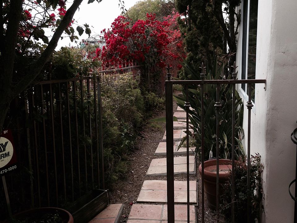 Side yard off patio great for pets