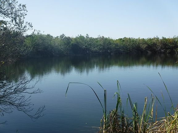 4th image of 17373 Sr 29 N