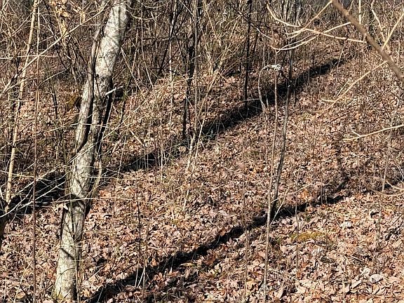 5th image of 122 Hickory Hollow Rd