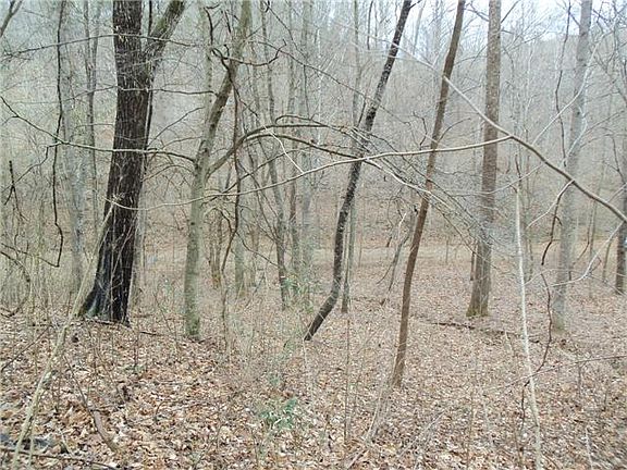 5th image of 0 Lost Hollow Ln Lot 19