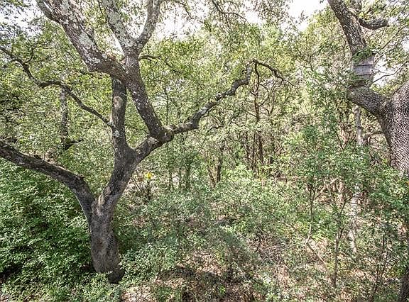 5th image of 8906 Mariscal Canyon Dr