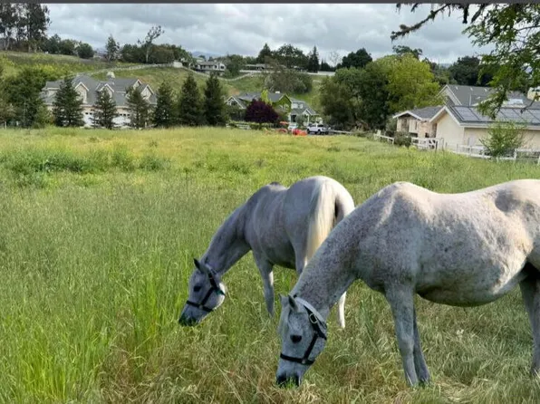 985 Old Ranch Rd, Solvang, CA 93463