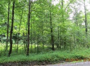 Bushy Head Rd, Cherry Log, GA 30522