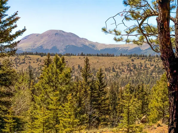 120 Chubb Court LOT 15, Buena Vista, CO 81211