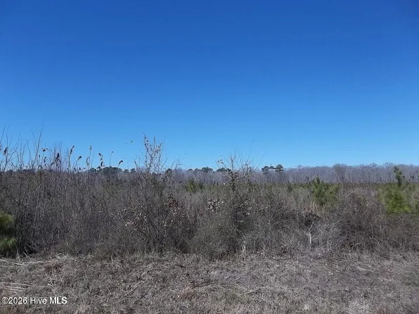 Boat Ramp Rd Lot 6, New Hope, NC 27944