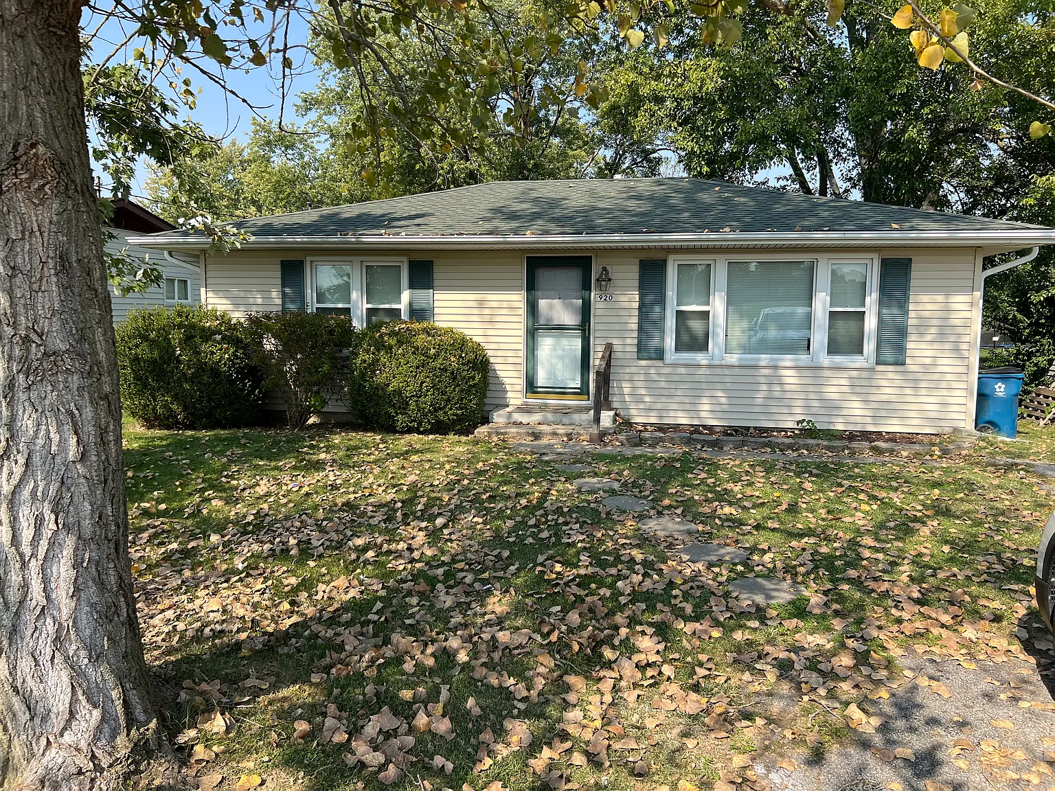 920 Mill St photo 1