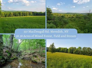 337 Macdougall Rd #16, East Meredith, NY 13757