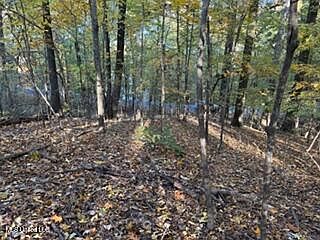 2nd image of 11331 Mingo Dr