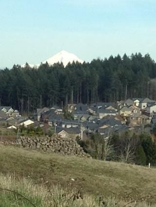 Stunning Mt Hood View
