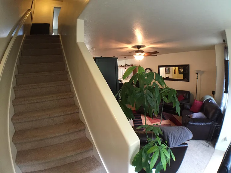 172 W Barry Links Way — Photo 18