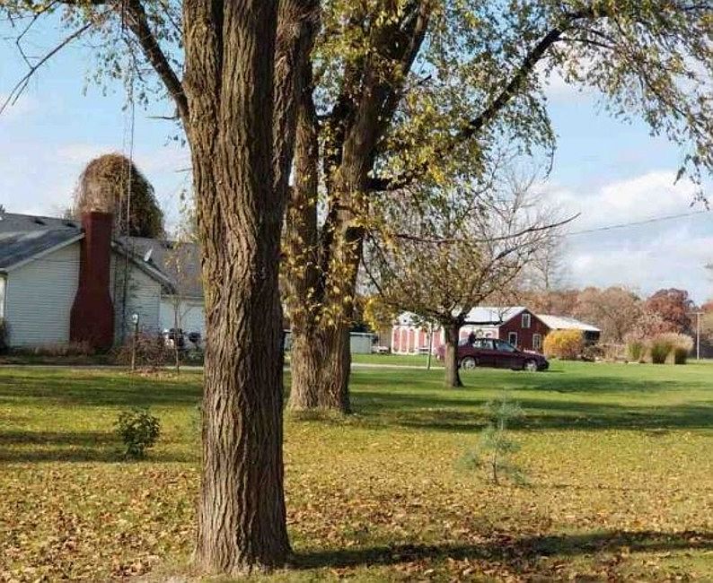 Property Side View