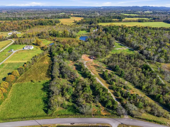 8919 Carlton Rd Lot 1, Christiana, TN 37037