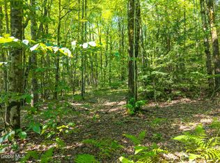 135 Dragoo Rd, Schenevus, NY 12155