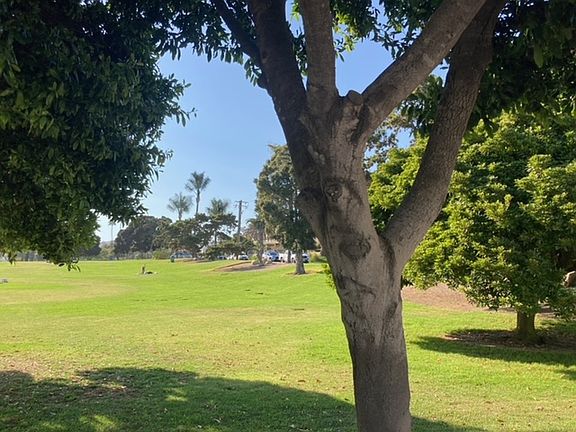2nd image of 86 Aliso Ln