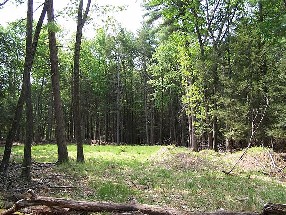 3rd image of Lot 2 White Pine