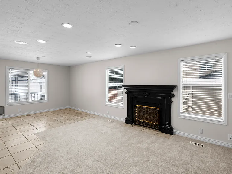 E Candle Spruce Cv — Photo 8