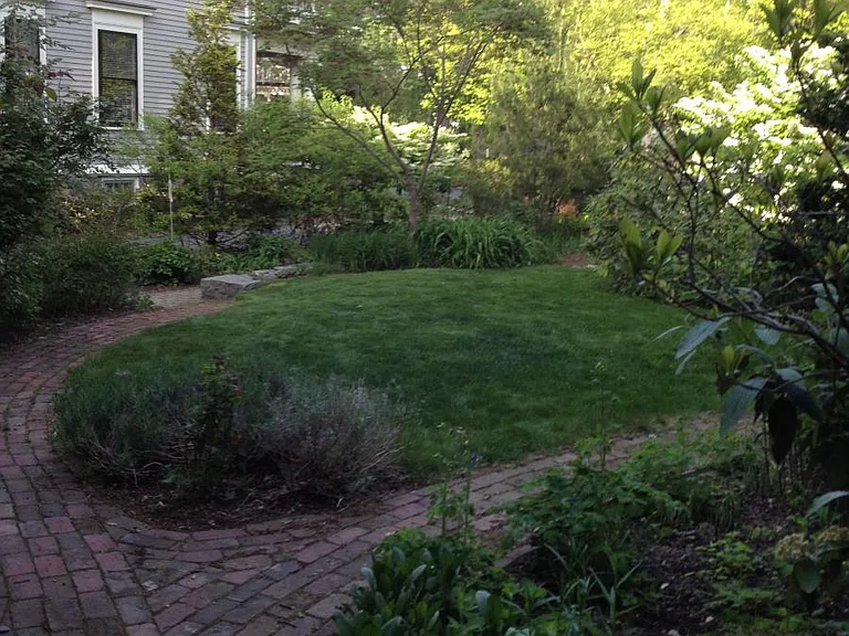 FRONT LAWN