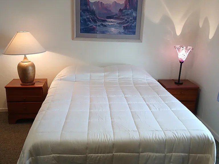 558 Dameron Dr #B — Photo 9