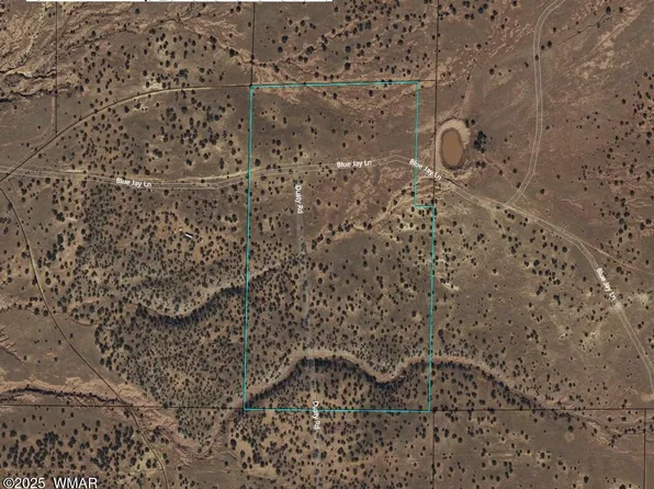 Blue Jay Ln, Snowflake, AZ 85937