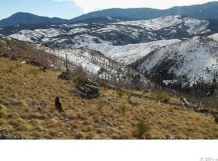 15361 Quandary Peak Trl, Pine, CO 80470