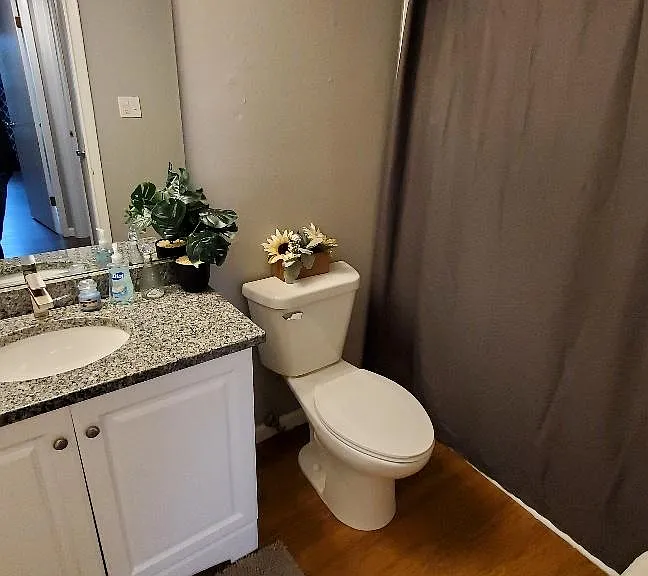 Bathroom with New countertop