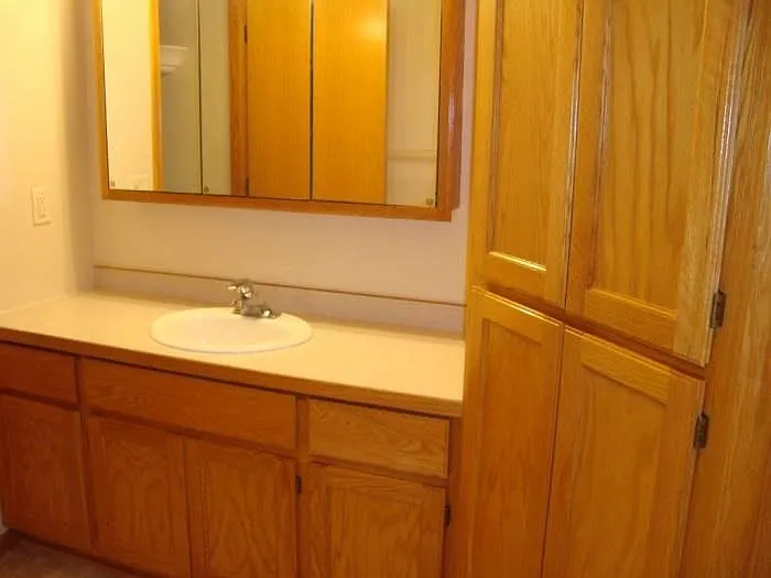 Up Stairs Bathroom