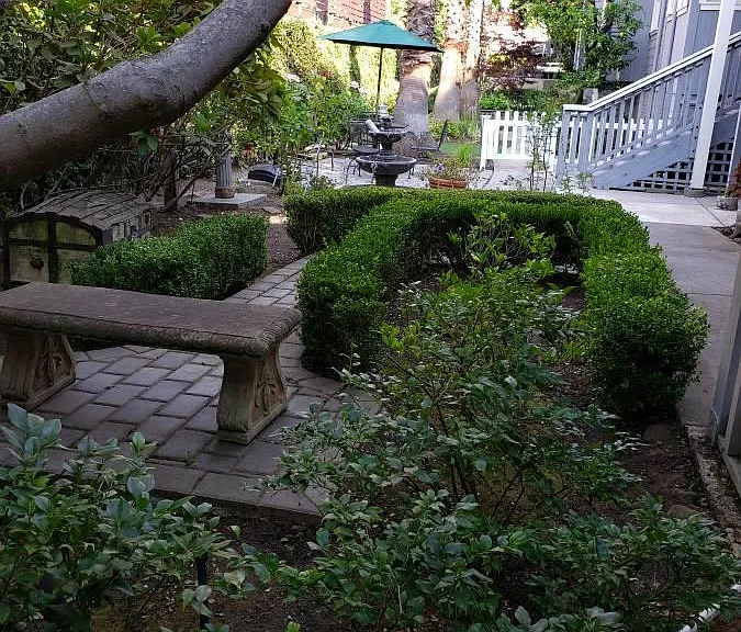 555 Lytton Ave #3 — Photo 5